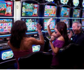 旺财28.ccpc29APP免费版