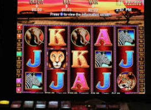 旺财28.ccpc29APP最新版